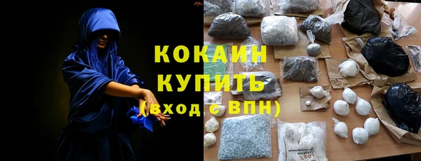 прущие грибы Лабытнанги
