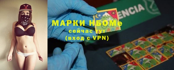 прущие грибы Лабытнанги