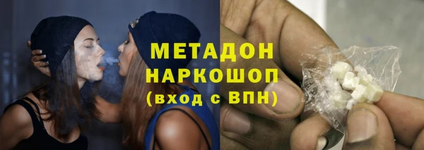прущие грибы Лабытнанги