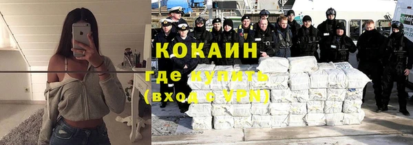 молекула духа Ладушкин