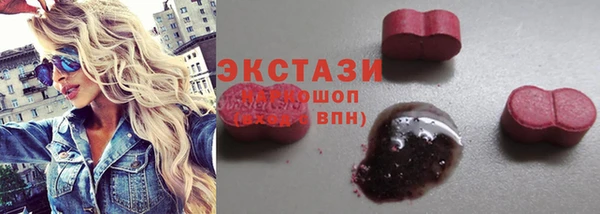 прущие грибы Лабытнанги