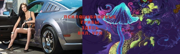 spice Лиски