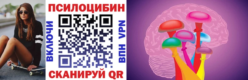 Купить закладки  Пласт  Псилоцибиновые грибы MAGIC MUSHROOMS 